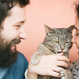 Essential Cat & Kitten Care