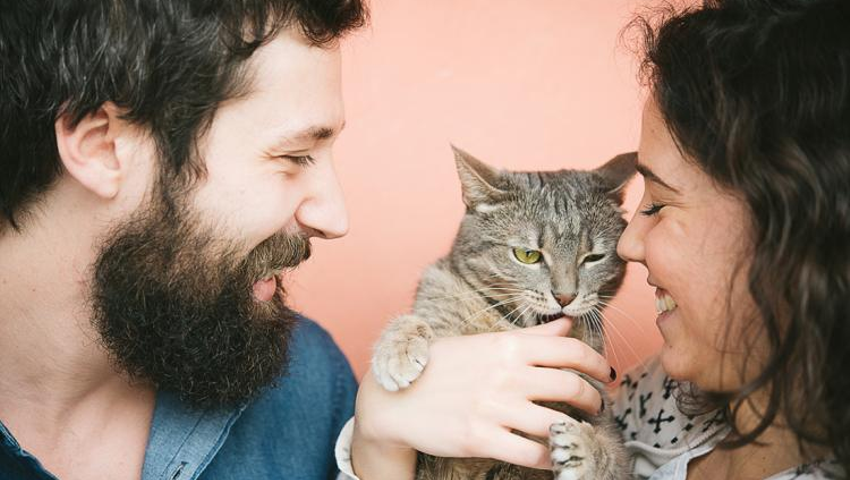 Essential Cat & Kitten Care