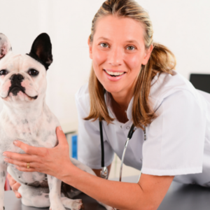 Veterinary Support Assistant