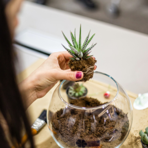 Creative Indoor Mini Gardens